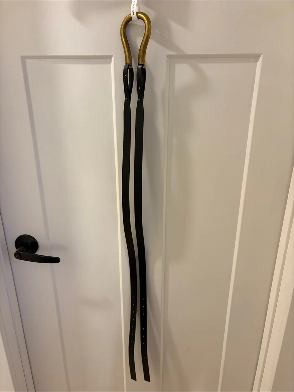 Rachel Zoe Metallic Gold Wall Hooks with Black Straps